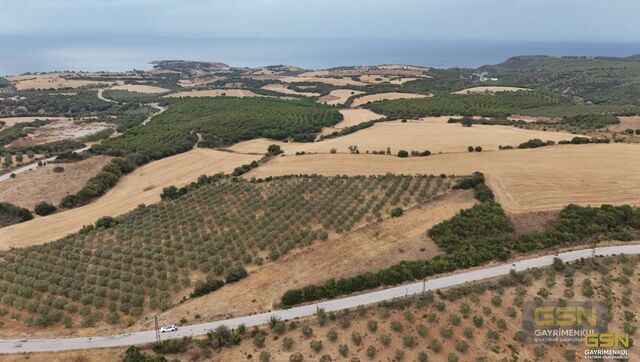 15-ÇANAKKALE BİGA KEMERDE EŞSİZ DENİZ MANZARALI ASFALT CEPHELİ ARAZİ